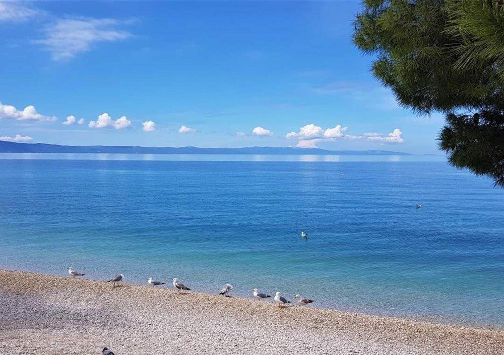 Apartmani Mirona - Tučepi Dış mekan fotoğraf