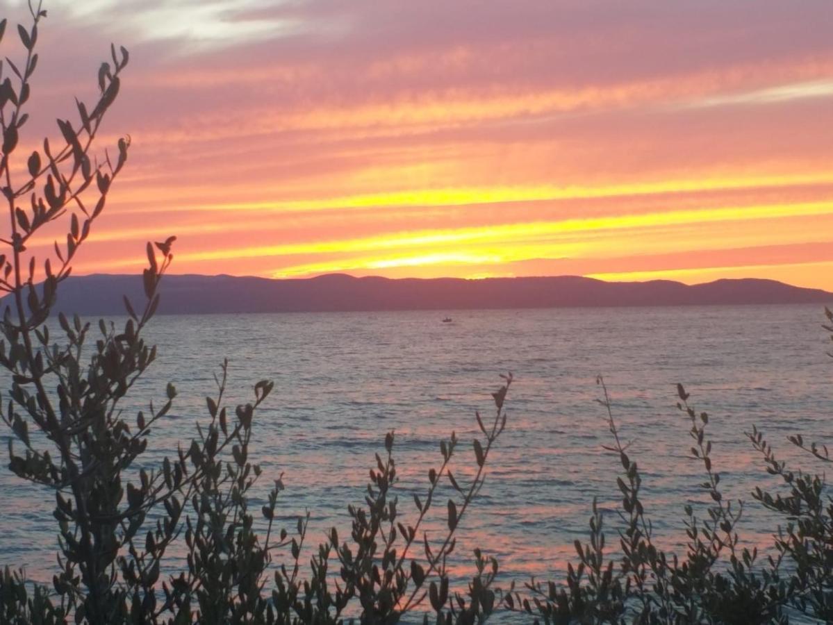 Apartmani Mirona - Tučepi Dış mekan fotoğraf