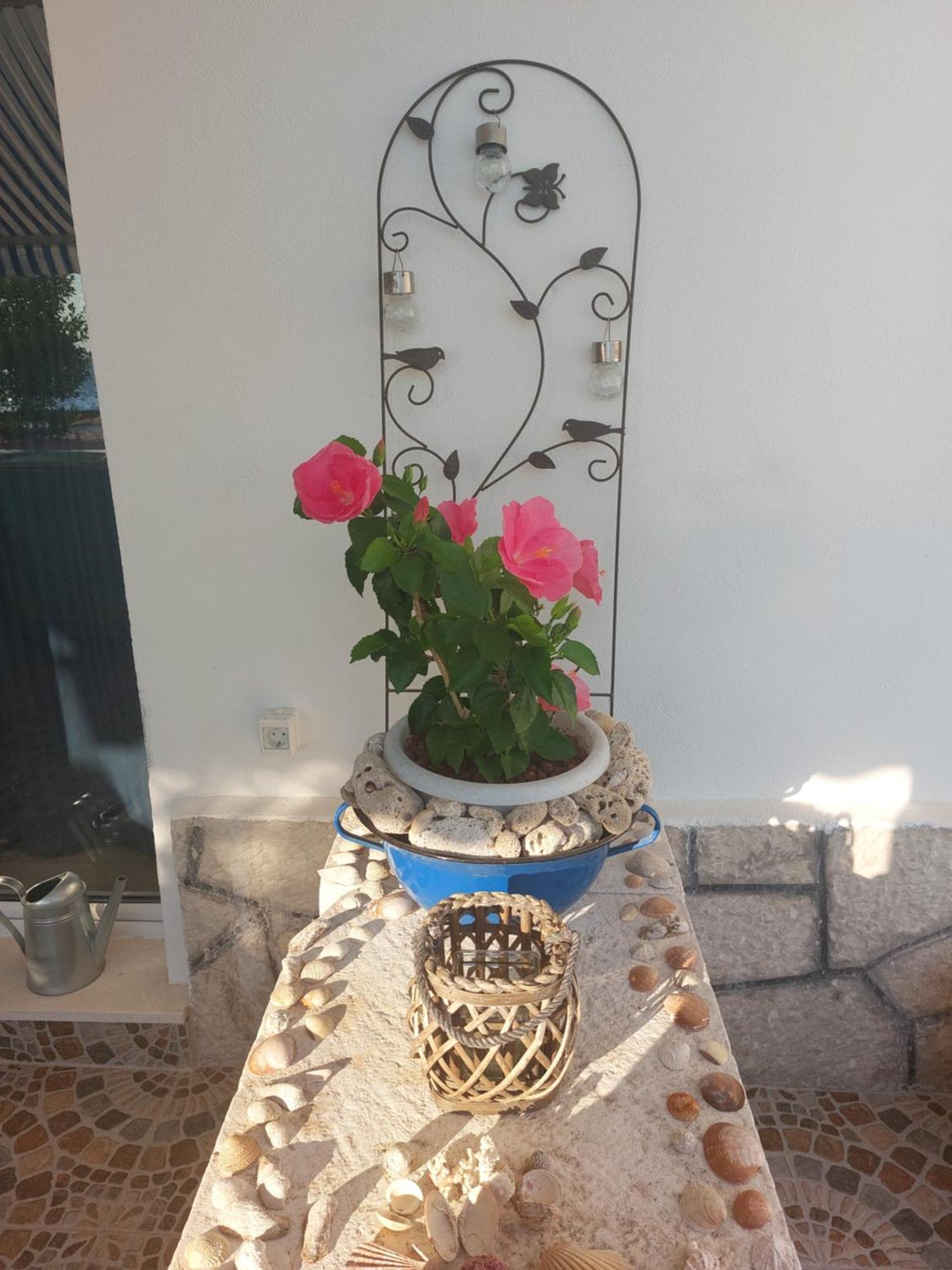 Apartmani Mirona - Tučepi Dış mekan fotoğraf