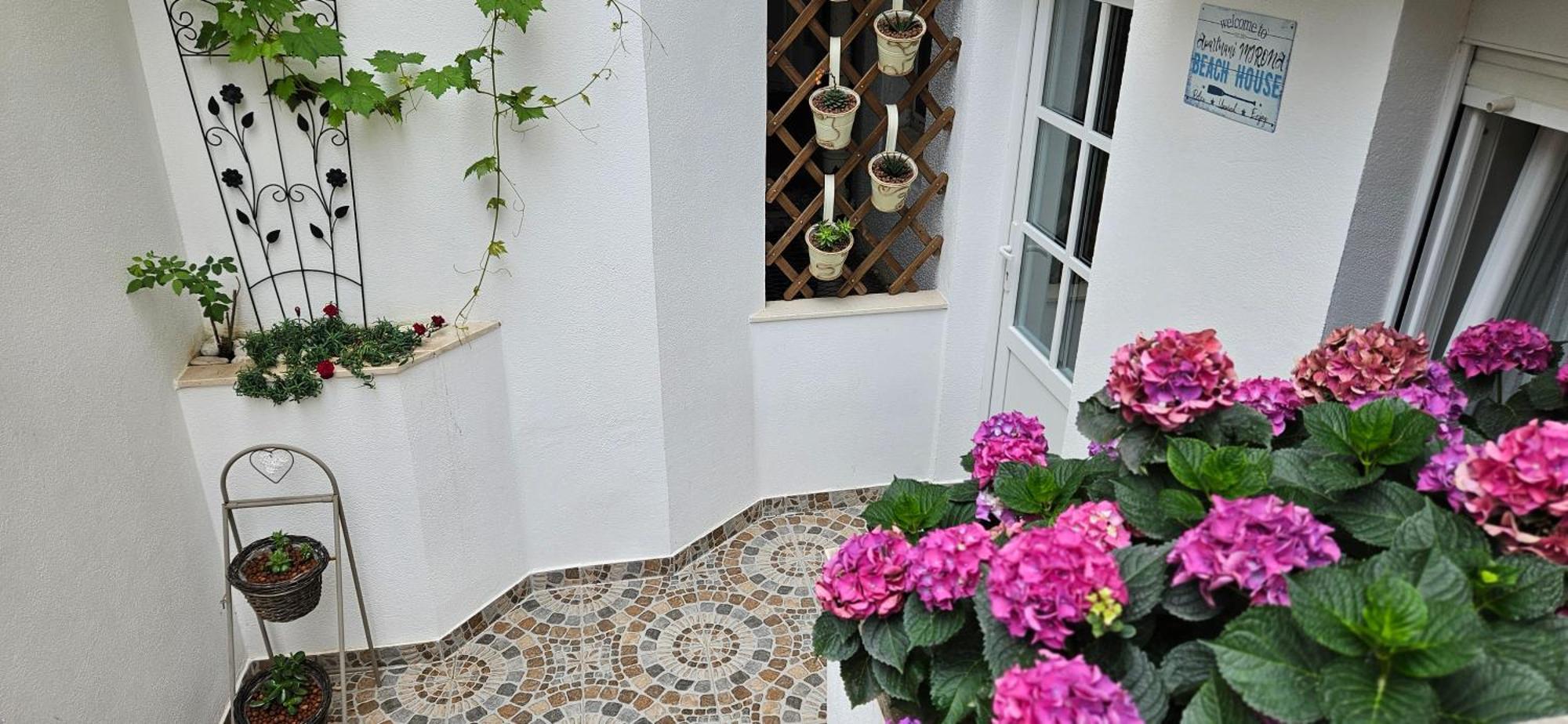 Apartmani Mirona - Tučepi Dış mekan fotoğraf